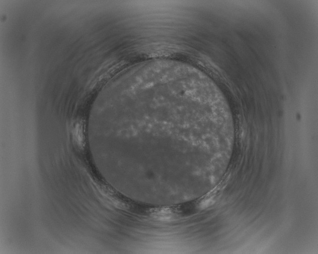 X0000067900074200605041628