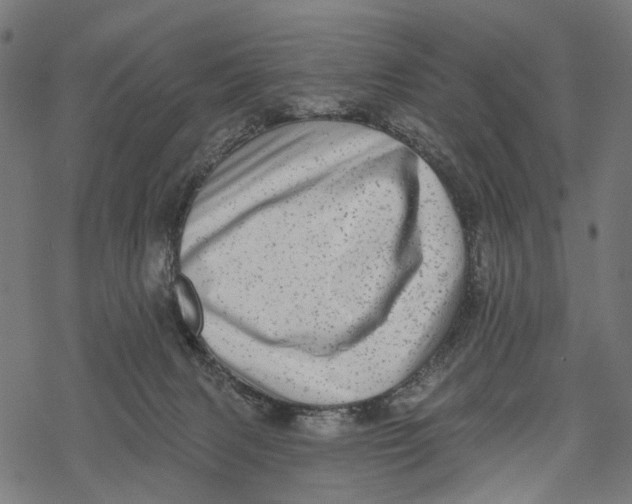 X0000067900079200605041628