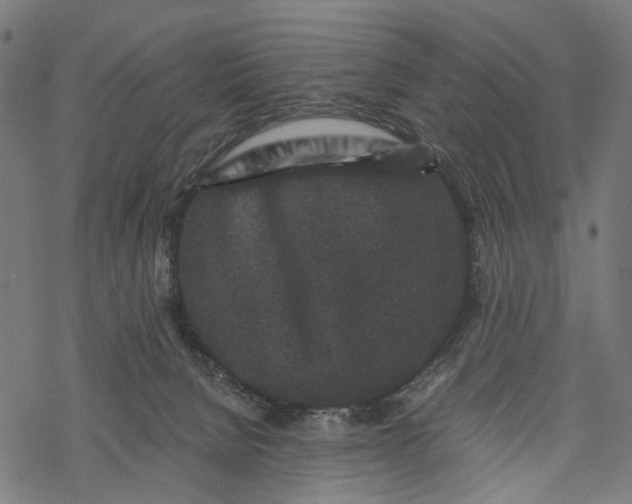 X0000067900080200605041628