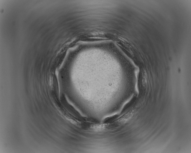 X0000067900084200605041628