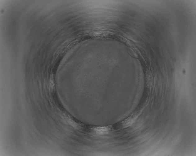 X0000067900085200605041629