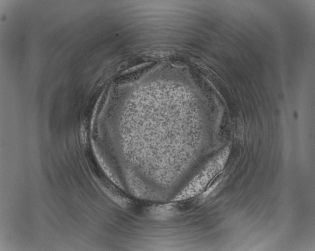 X0000067900086200605041629