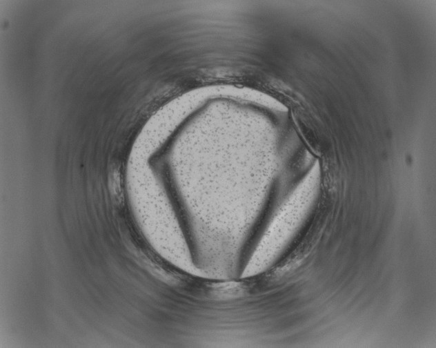 X0000067900087200605041629