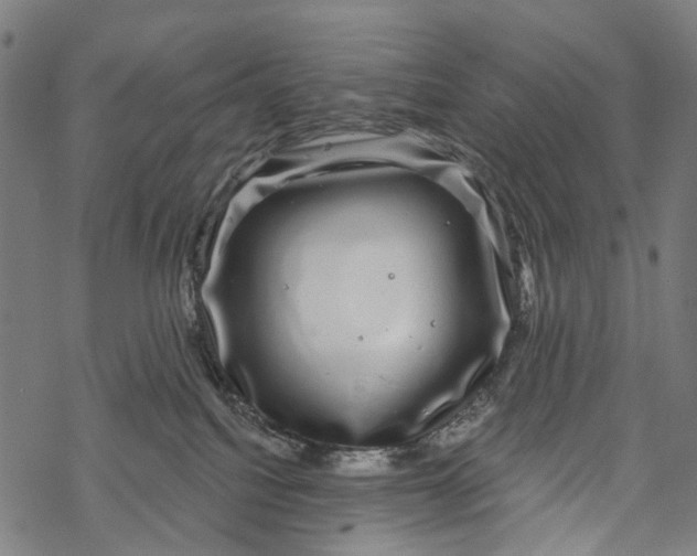 X0000067900088200605041629