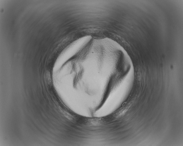 X0000067900089200605041629