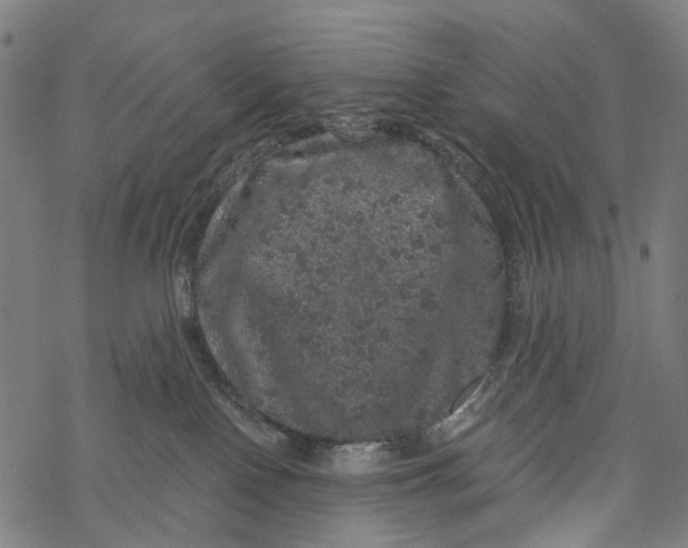 X0000067900090200605041629