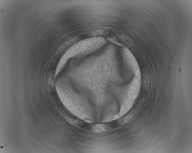 X0000067900091200605041629