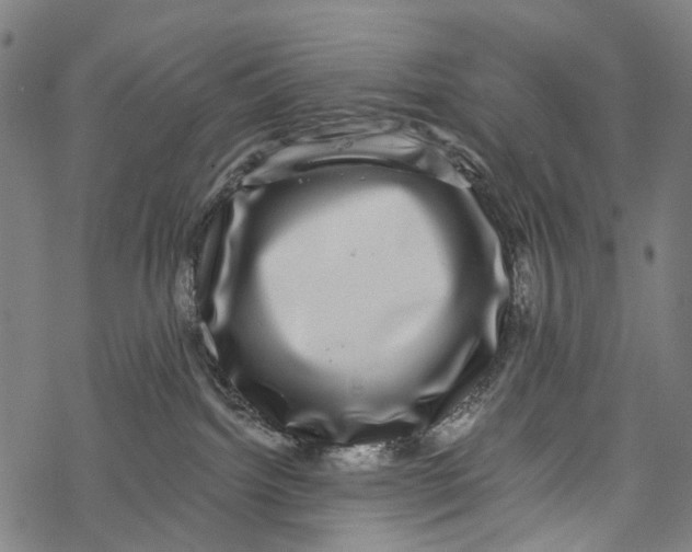 X0000067900092200605041629