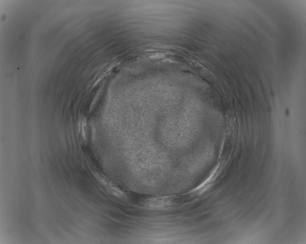 X0000067900094200605041629