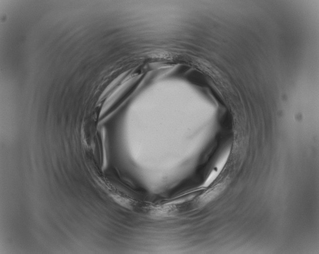 X0000067900096200605041629