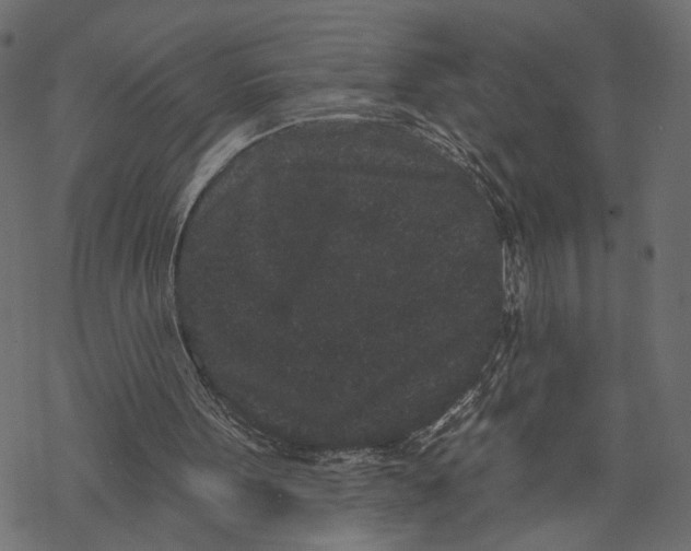 X0000067900099200605041628