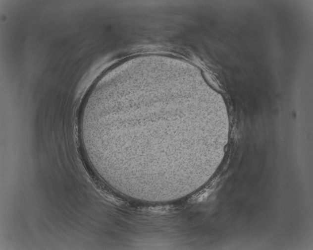 X0000067900103200605041628