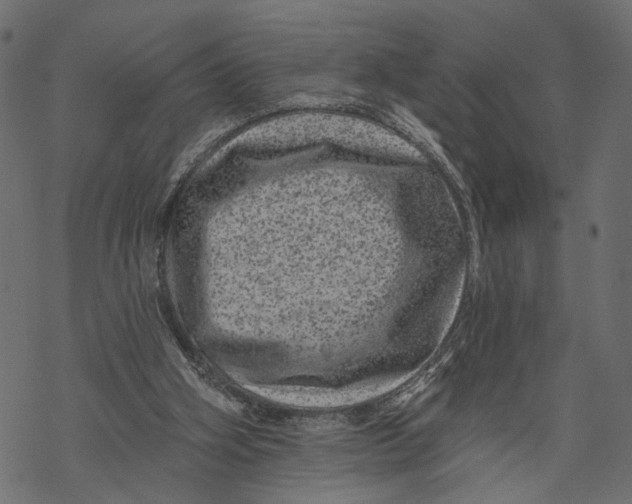 X0000067900106200605041628