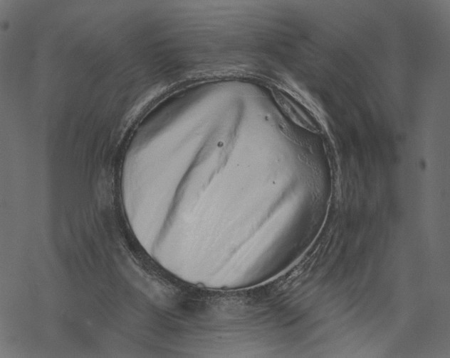 X0000067900107200605041628