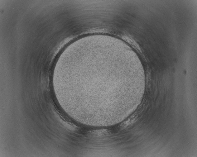 X0000067900108200605041628