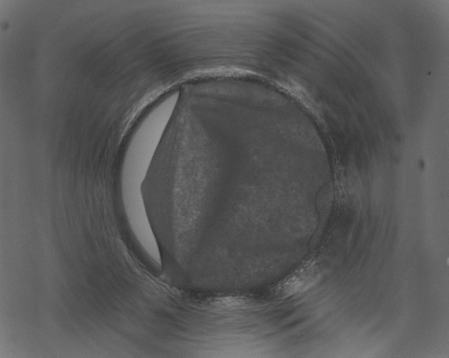 X0000067900111200605041628