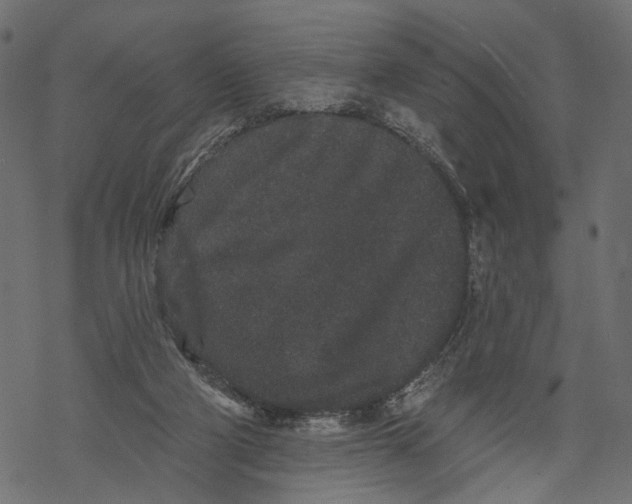 X0000067900114200605041628