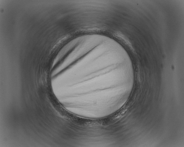 X0000067900115200605041628