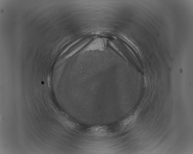 X0000067900117200605041628