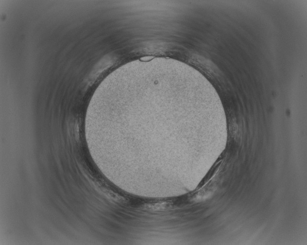 X0000067900120200605041628