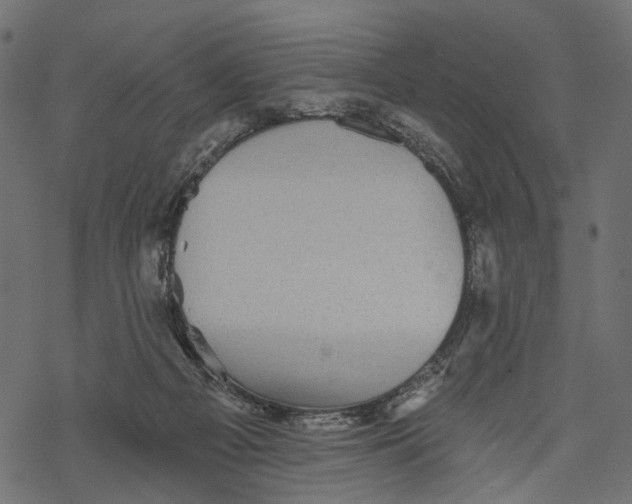 X0000067900121200605041628