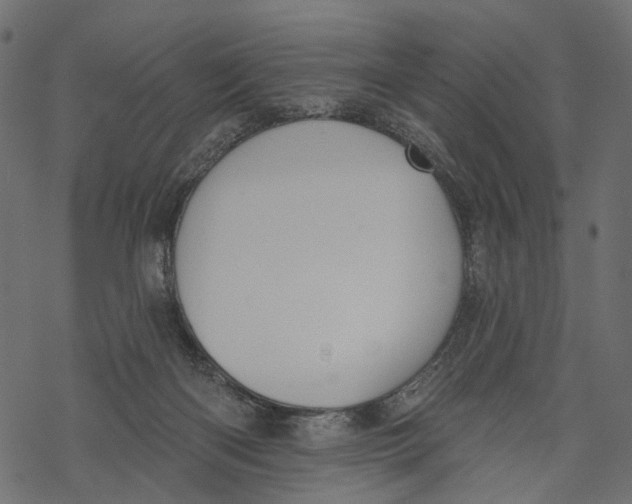 X0000067900122200605041628