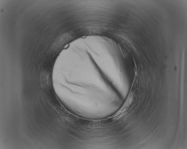 X0000067900123200605041627