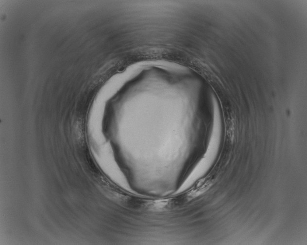 X0000067900131200605041627