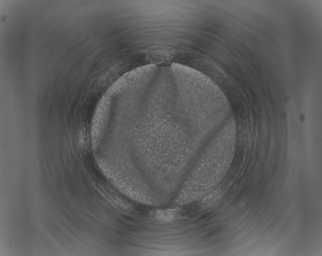 X0000067900134200605041627