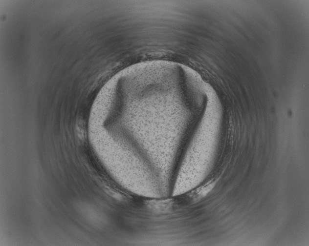 X0000067900135200605041627