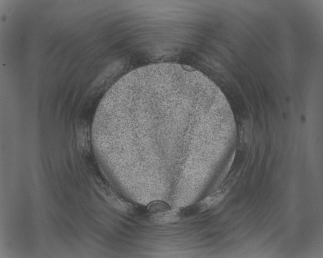 X0000067900138200605041627