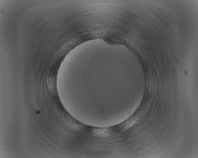 X0000067900139200605041627