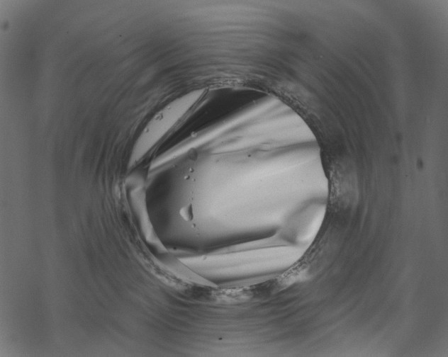 X0000067900141200605041627