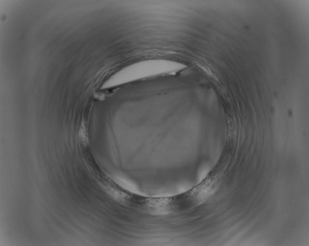 X0000067900143200605041627