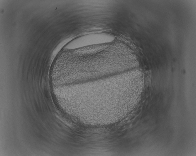 X0000067900147200605041626