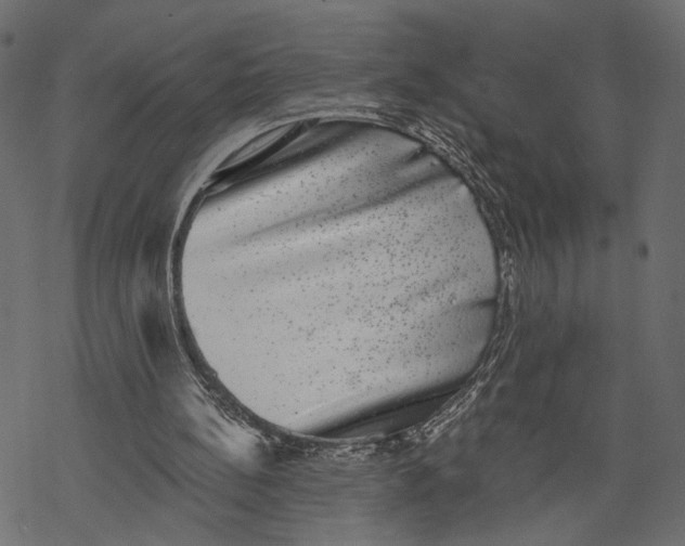 X0000067900148200605041626