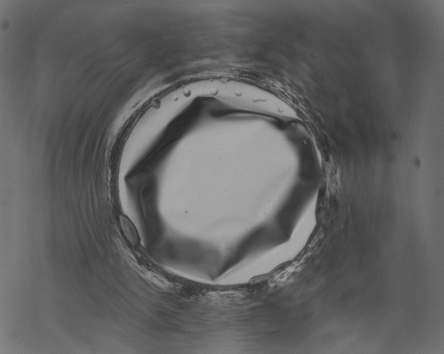 X0000067900150200605041626