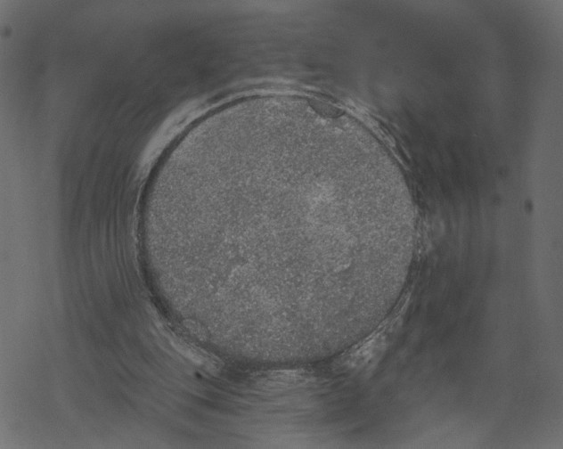 X0000067900151200605041626