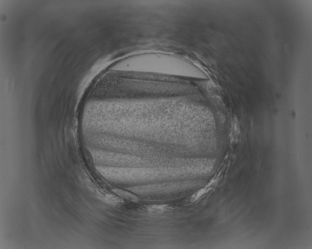 X0000067900152200605041626