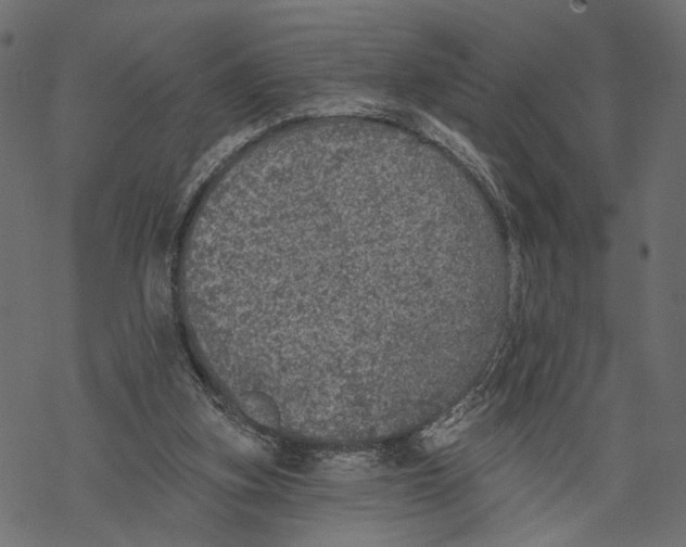 X0000067900155200605041627