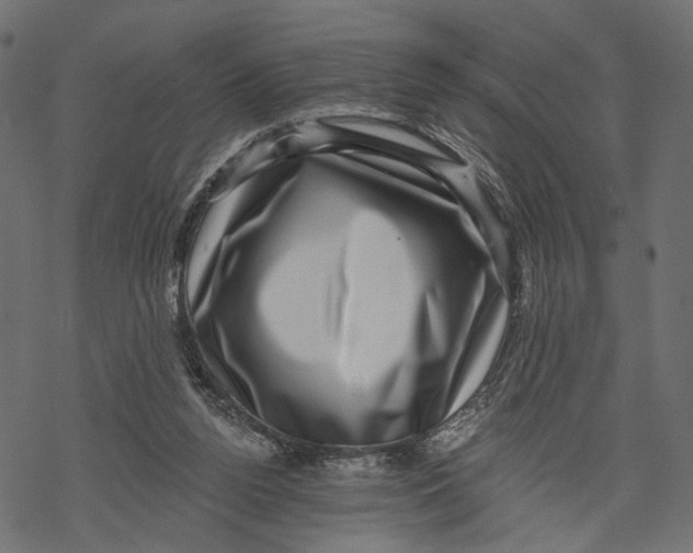 X0000067900160200605041627