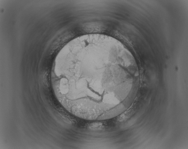 X0000067900162200605041627