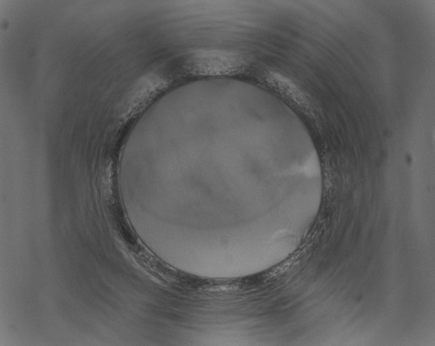 X0000067900163200605041627