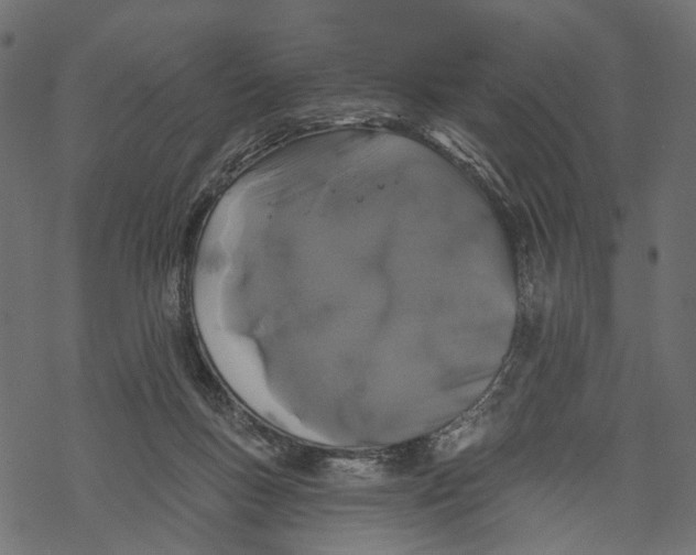 X0000067900167200605041627