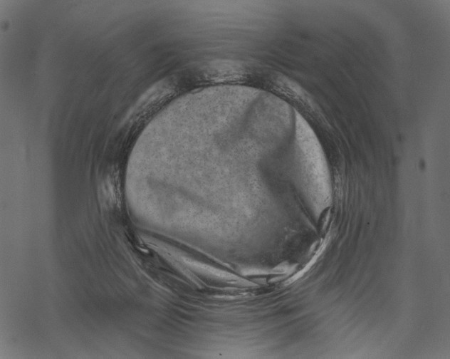 X0000067900170200605041627