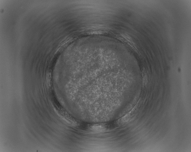 X0000067900171200605041627