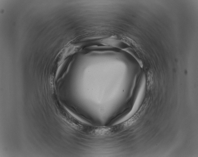 X0000067900172200605041627