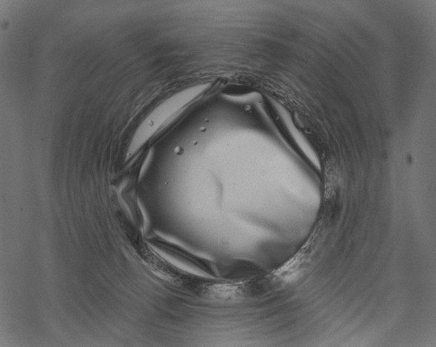 X0000067900176200605041627