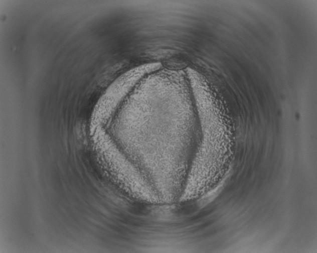 X0000067900182200605041627