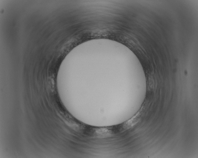 X0000067900183200605041627